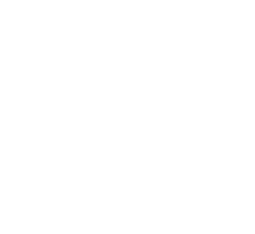 Virgin Mobile